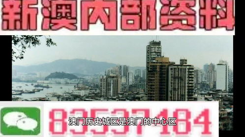 澳门管家婆100%精准|探索人生的无限可能_正式集.5.541